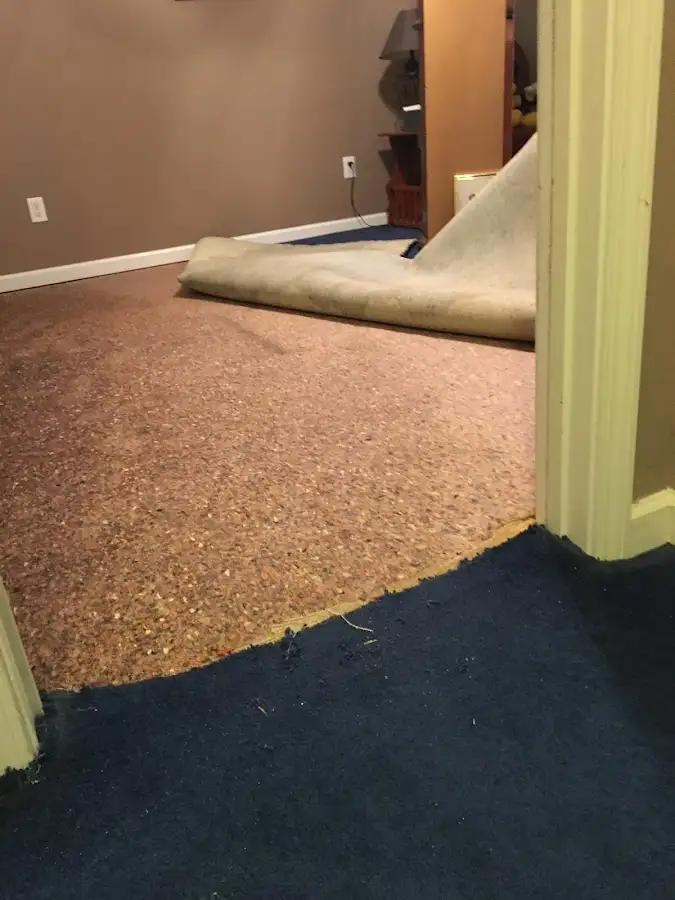 Carpet pad removal revealing water damage during Drying & Dehumidification in Madisonville