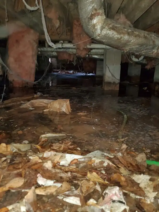 Crawl space flood assessment for Leak Detection & Repair in Madisonville